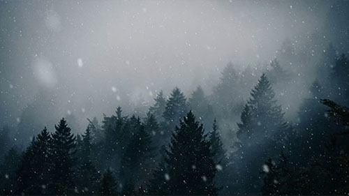 Winter Snowfall In The Forest Live Wallpaper